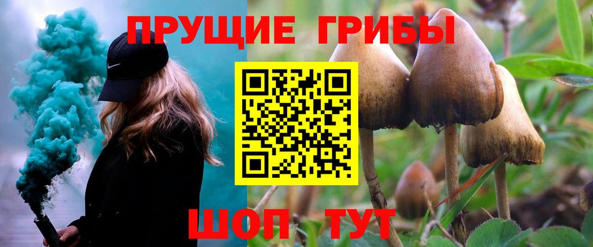 Псилоцибиновые грибы MAGIC MUSHROOMS Каменск-Шахтинский